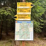 Galena I Gnejs