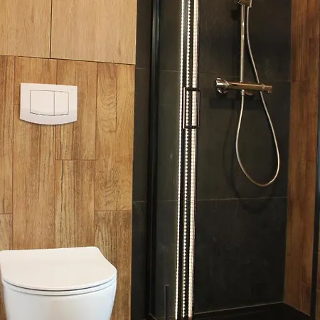 Galena I Gnejs Stronie Śląskie