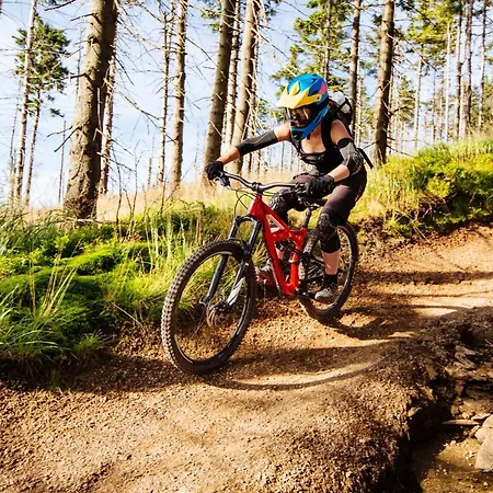 Galena I Gnejs Holiday home Stronie Slaskie