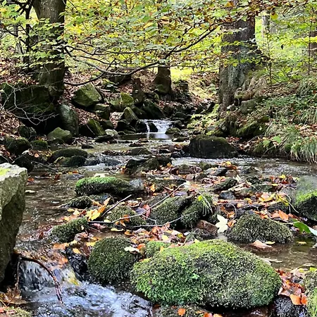 Galena I Gnejs *