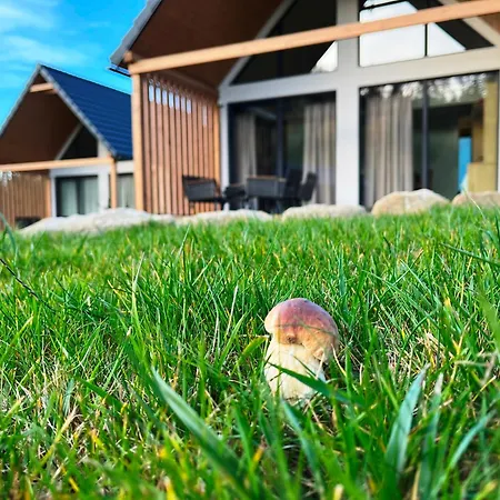 Galena I Gnejs Feriehus