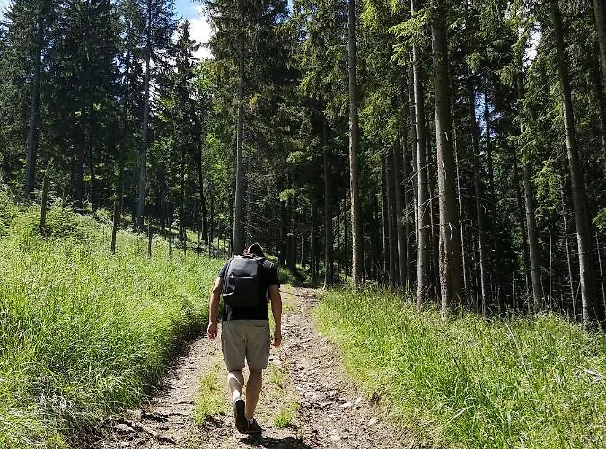 Galena I Gnejs 펜션 *