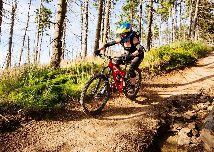 Galena I Gnejs Feriehus Stronie Śląskie