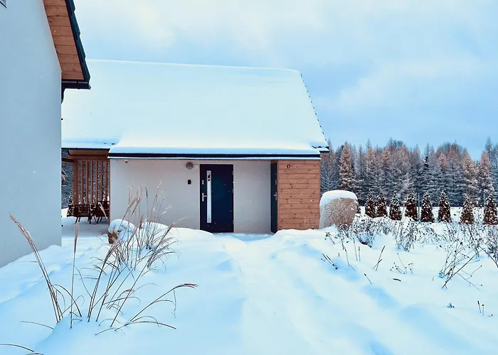 Galena I Gnejs * Stronie Śląskie