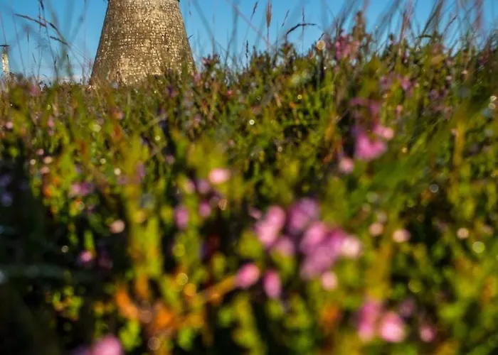 Galena I Gnejs 펜션 *