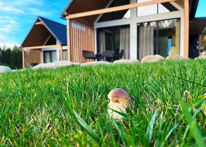 Galena I Gnejs 펜션