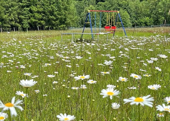 Galena I Gnejs * Stronie Śląskie