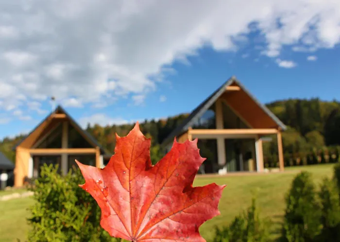 Galena I Gnejs Stronie Śląskie